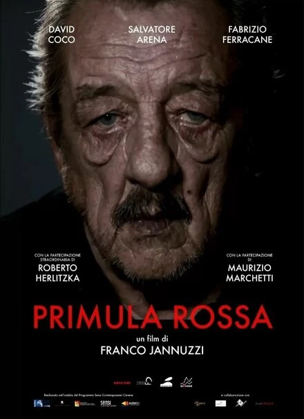 Постер Primula Rossa