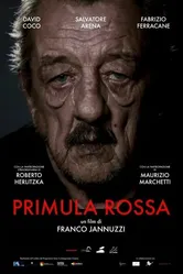 Primula Rossa постер