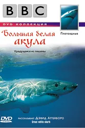 BBC: Большая белая акула 1995 постер