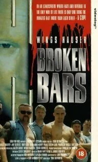 Постер Сломанные прутья 1995