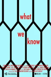 What We Know постер