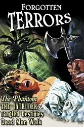 The Intruder 1933 постер