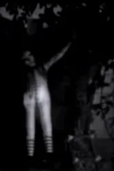 Счастье 2009 постер