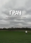 Грач 2016 постер