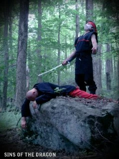 Постер Sins of the Dragon