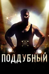 Поддубный 2012 постер