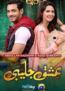 Ishq Jalebi постер