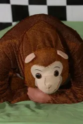 The Five Little Monkeys постер