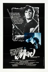 Смертельный бег 1981 постер