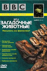 BBC: Эти загадочные животные 2002 постер