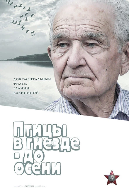 Постер Птицы в гнезде — до осени 2018