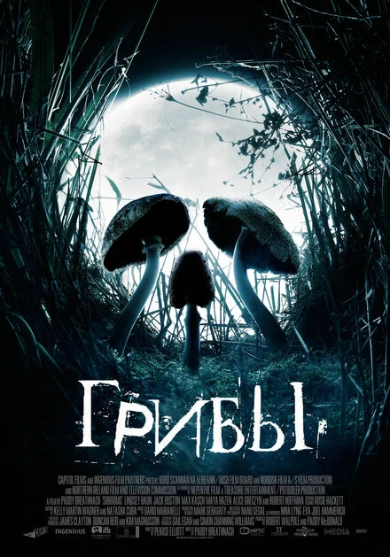 Постер Грибы 2007