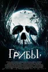 Грибы 2007 постер