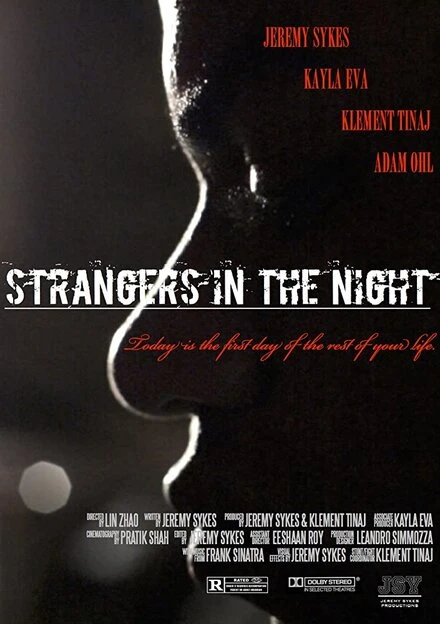 Постер Strangers in the Night 2016, США