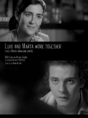 Постер Luis and Marta Work Together