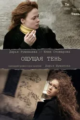 Ощущая тень 2011 постер