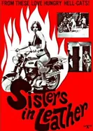 Сестрички в коже 1969 постер