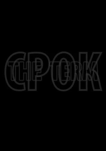 Постер Срок. Начало большой истории 2014