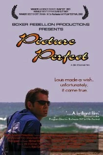 Постер Picture Perfect 2002