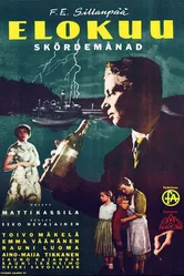 Август 1956 постер