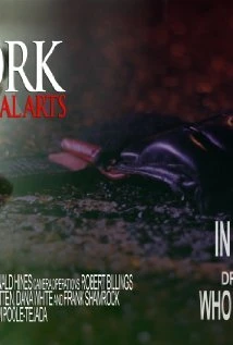 Постер New York Mixed Martial Arts