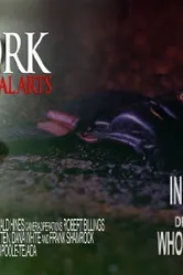 New York Mixed Martial Arts постер