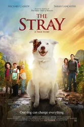 The Stray 2017 постер