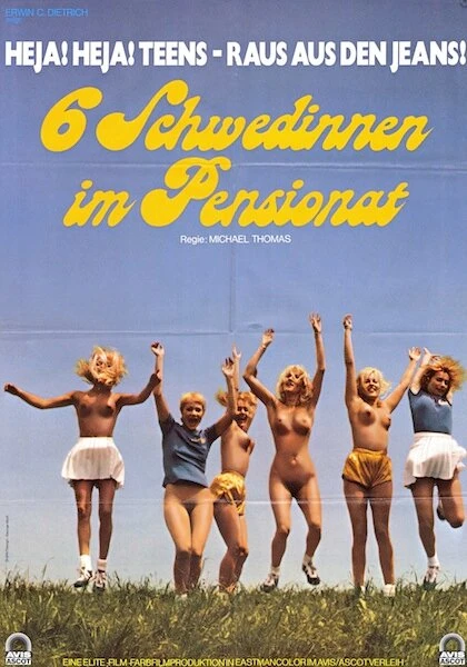 Постер Шесть шведок в пансионате 1979