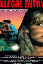 Незаконное вторжение 1993 постер