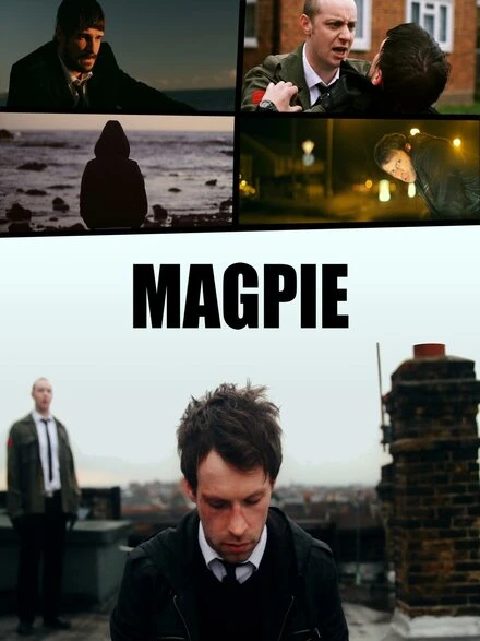 Постер Magpie 2013
