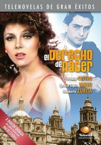 Постер Право на рождение 1981