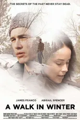 Зимняя прогулка 2015 постер
