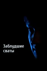 Заблудшие сваты 2010 постер