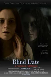 Blind Date 2013, США постер