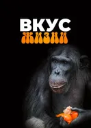 Вкус жизни постер