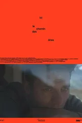 Ici le chemin des ânes постер
