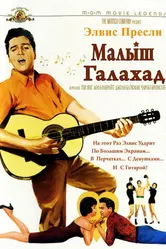 Малыш Галахад 1962 постер