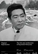 Магическое несовершенство постер