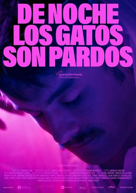 Постер De noche los gatos son pardos