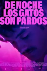 De noche los gatos son pardos постер