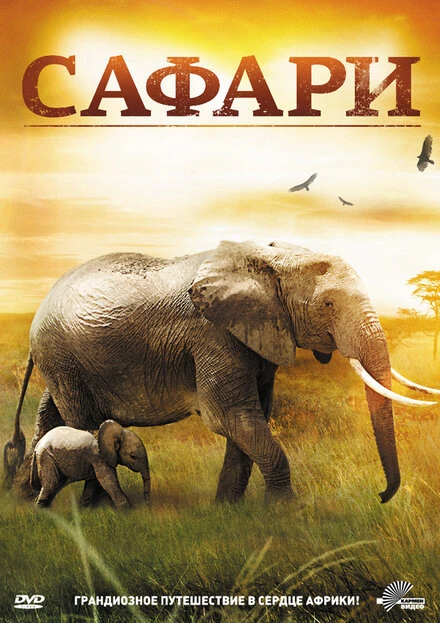 Постер Сафари 2011