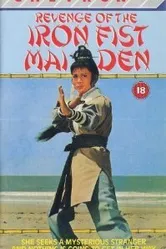 Gai shi quan постер
