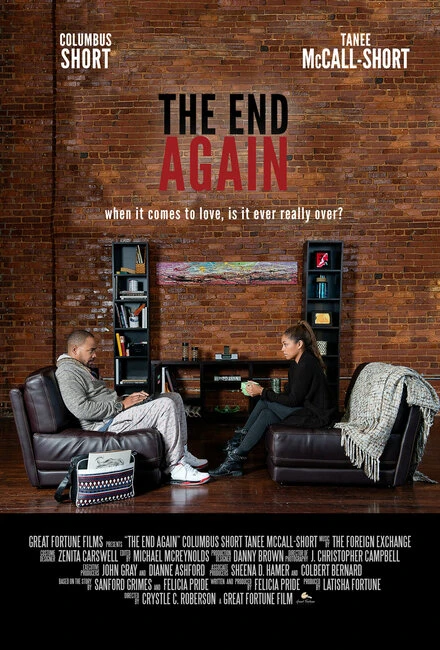 Постер The End Again