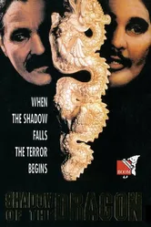Тень дракона 1992 постер