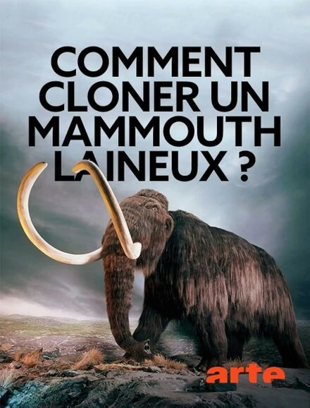 Постер Woolly Mammoth: The Autopsy