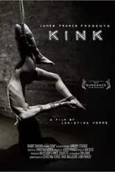 Kink.com 2013 постер