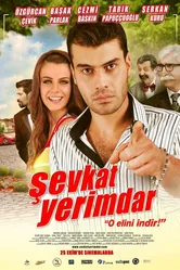 Шевкат Еримдар 2013 постер