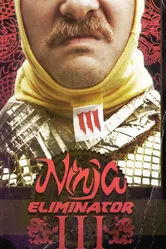 Ninja Eliminator 3: Guardian of the Dragon Medallion постер