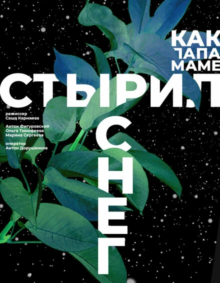 Постер Как папа маме стырил снег 2020