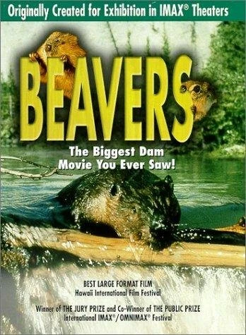 Постер Beavers